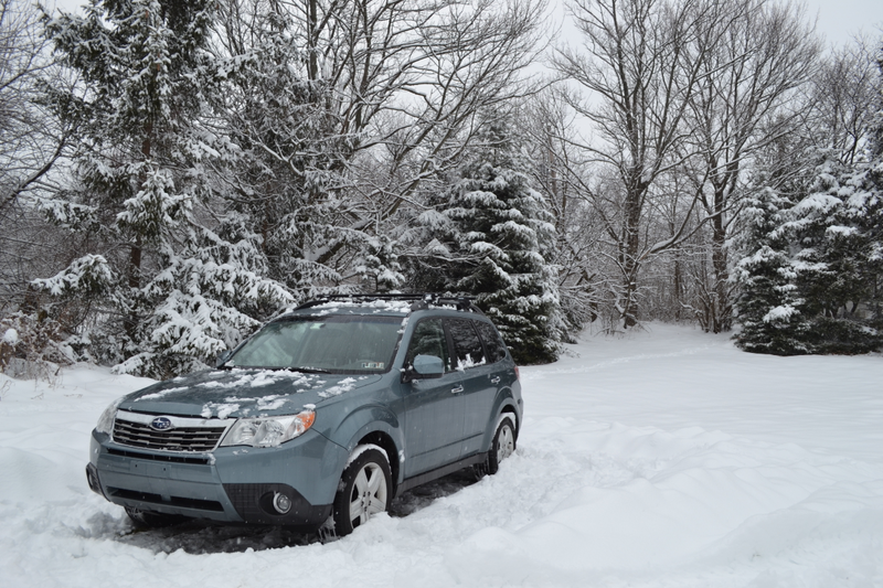 Illustration for article titled 2009 Forester - Moments in Photos